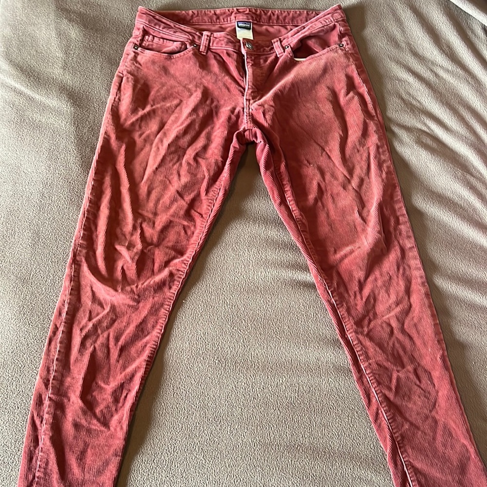 Patagonia Organic Cotton Everyday Cords